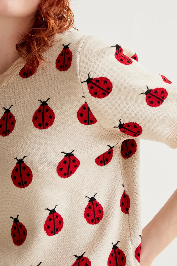 MAGLIA JACQUARD COCCINELLA COMPANIA FANTASTICA