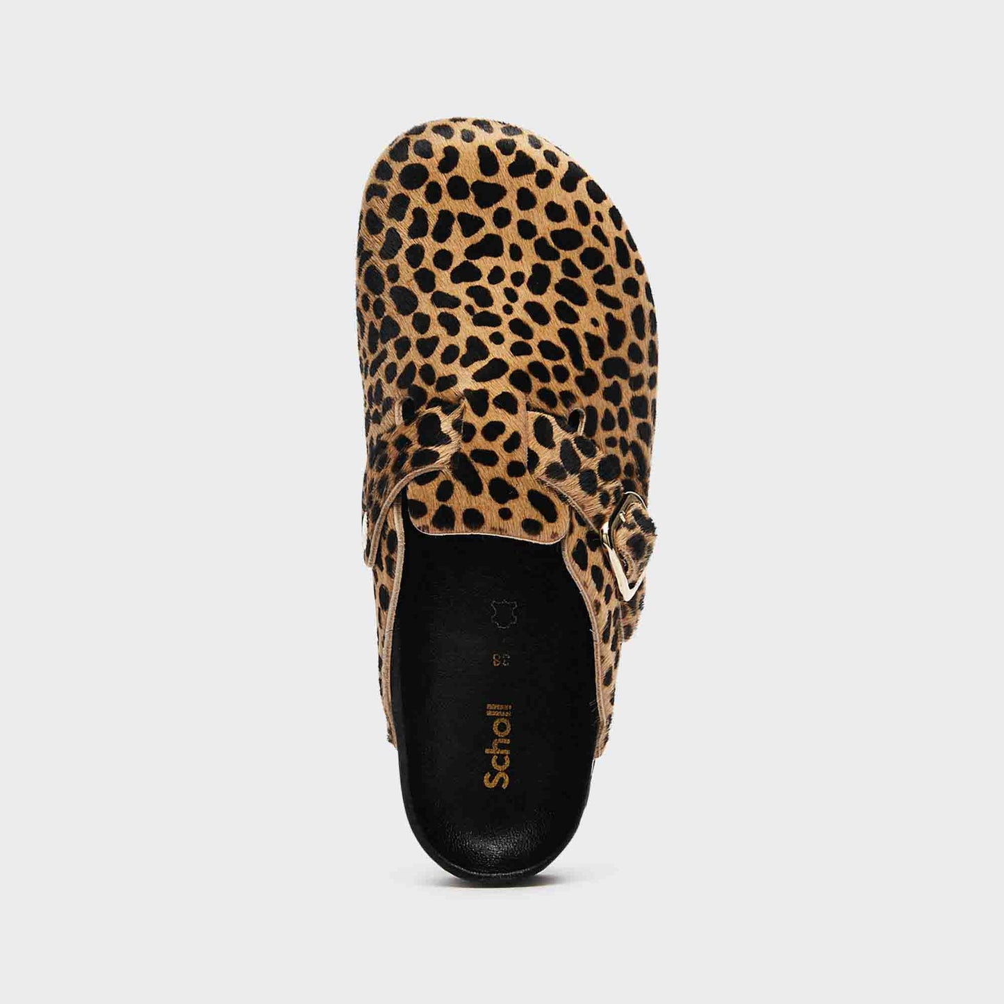 Clogs Fae Leopard SCHOLL