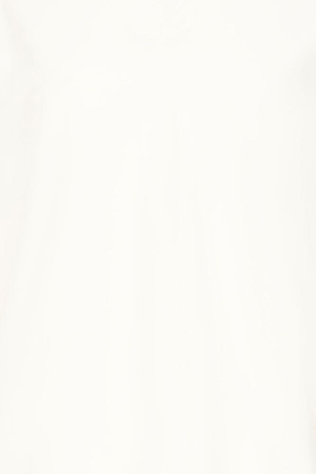 T-SHIRT SCOLLO V IHMIMMIE SS ICHI