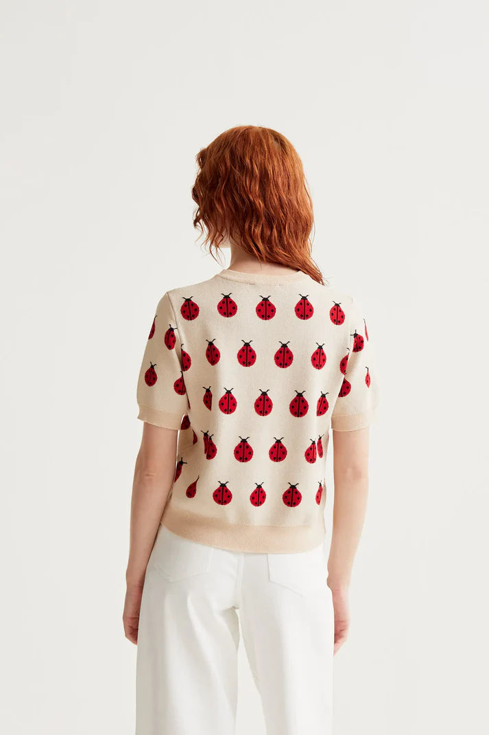 MAGLIA JACQUARD COCCINELLA COMPANIA FANTASTICA